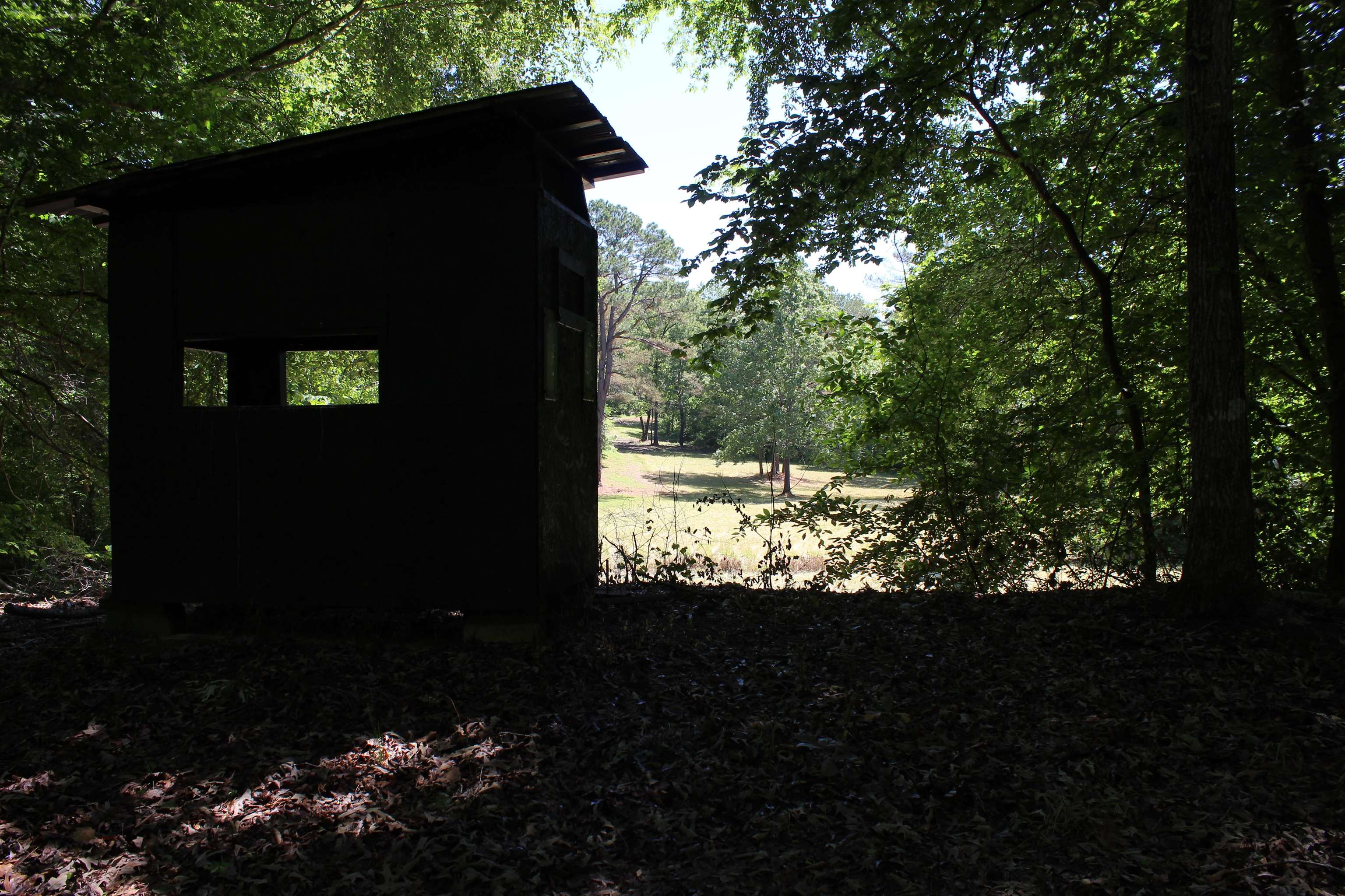 3360 Ebenezer Road Toone, TN 38381 - Photo 12 of 40