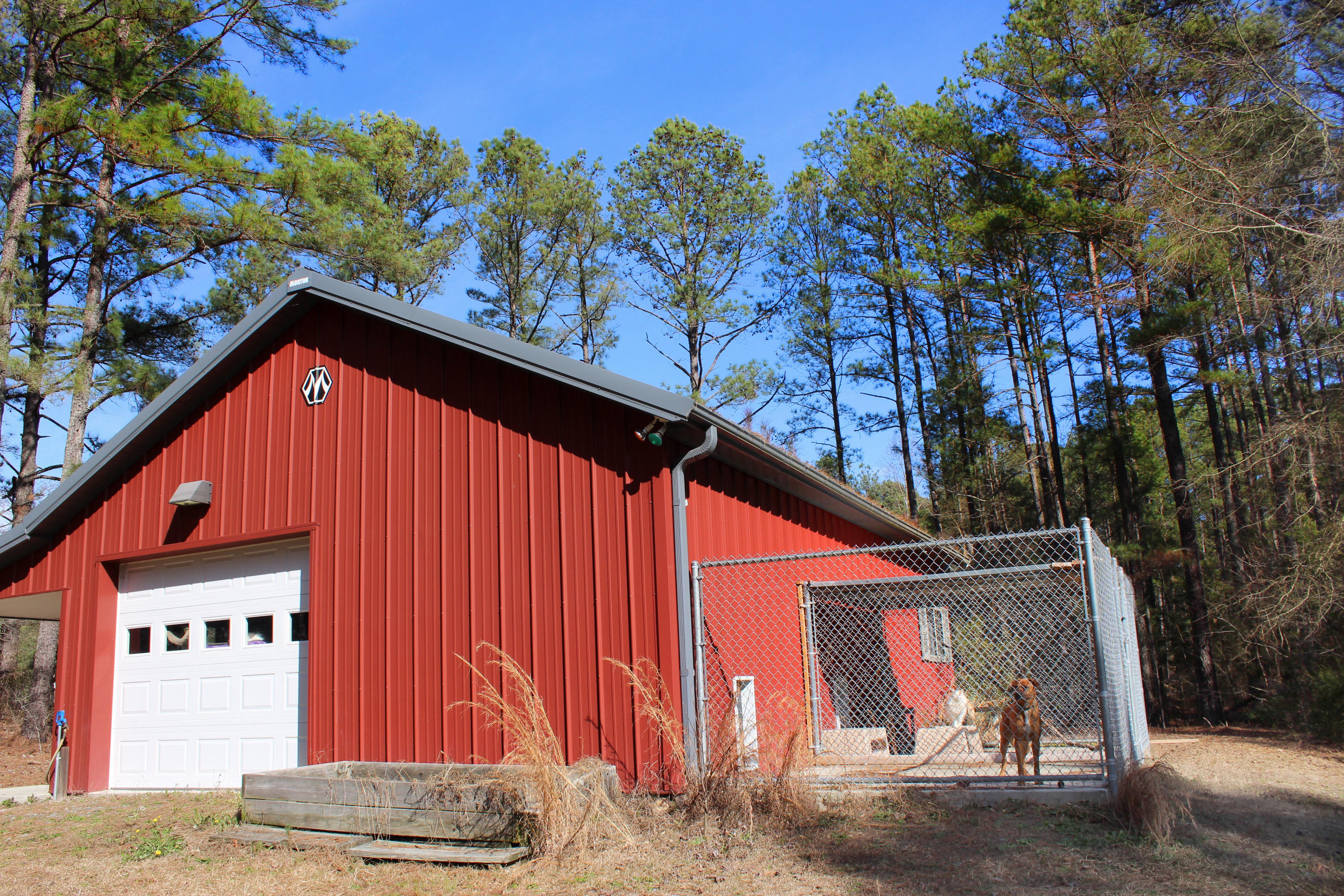 389 Brinkley Road Carthage, NC 28327 - Photo 34 of 52 Barn and Kennel