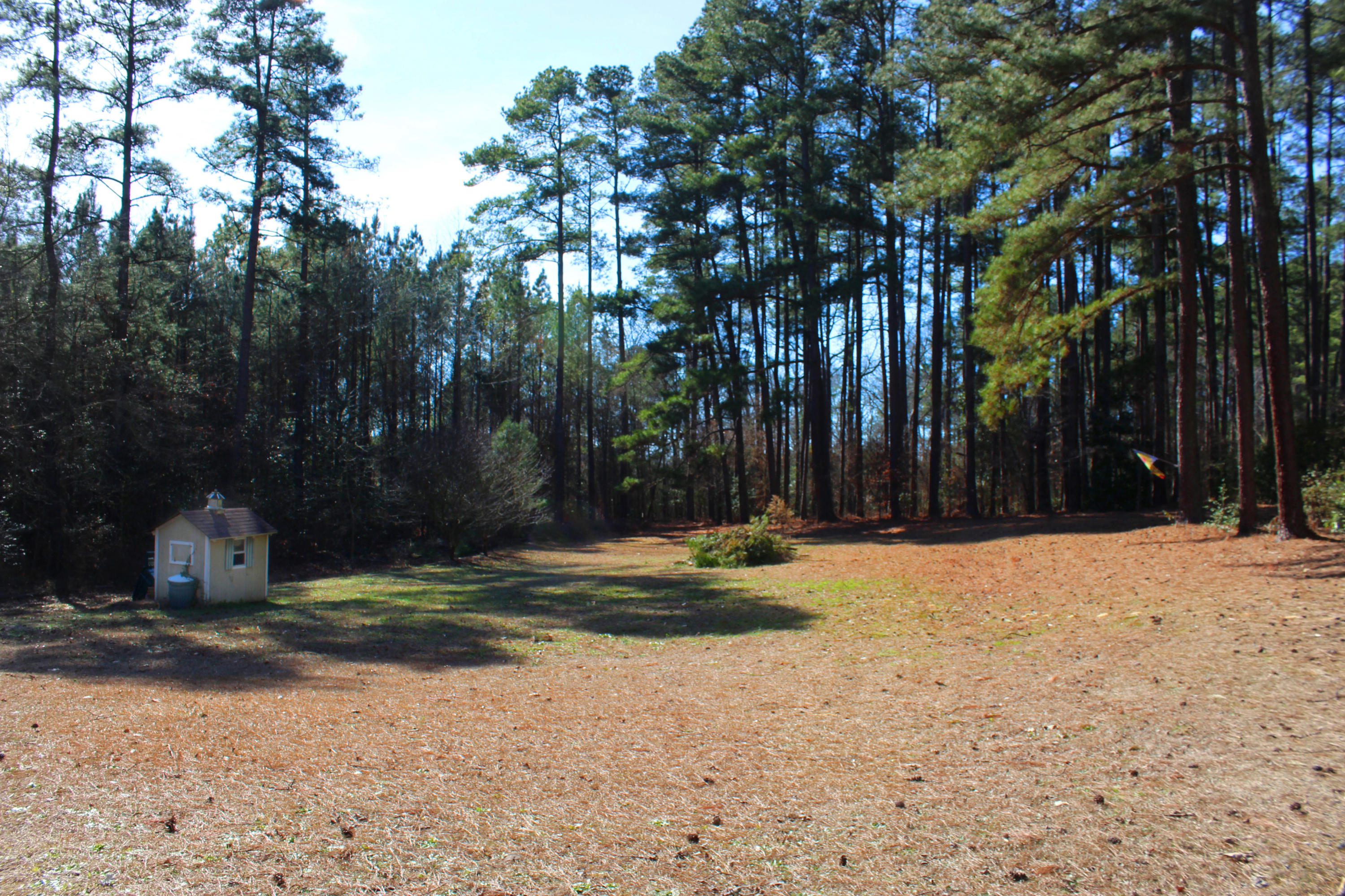389 Brinkley Road Carthage, NC 28327 - Photo 44 of 52 Yard