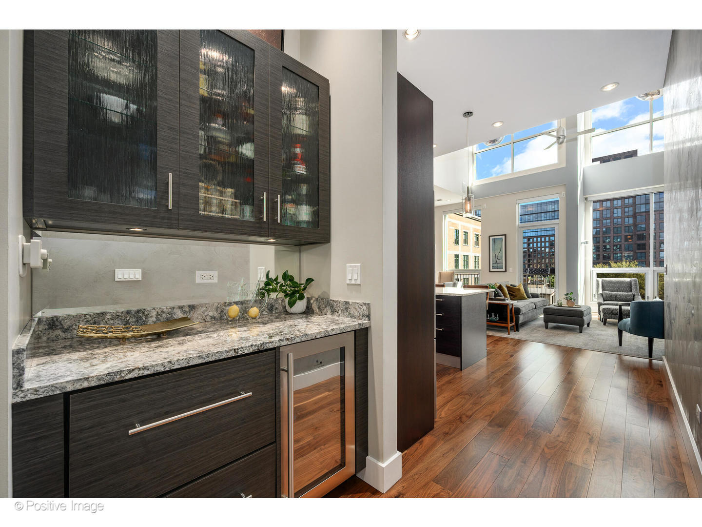 18 North Carpenter Street, Unit PHN Chicago, IL 60607 - Photo 5 of 39