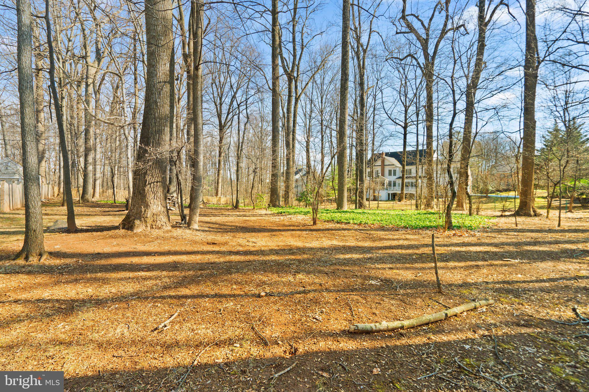 4301 Oaktree Road Rockville, MD 20853 - Photo 36 of 37