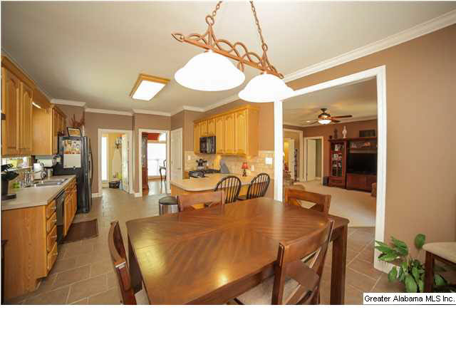 336 Pats Way Springville, AL 35146 - Photo 10 of 32