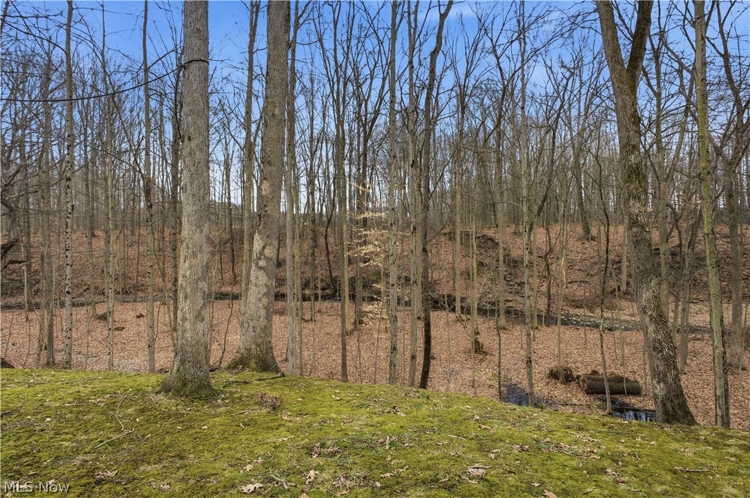 3550 New Hudson Road Orwell, OH 44076 - Photo 7 of 50