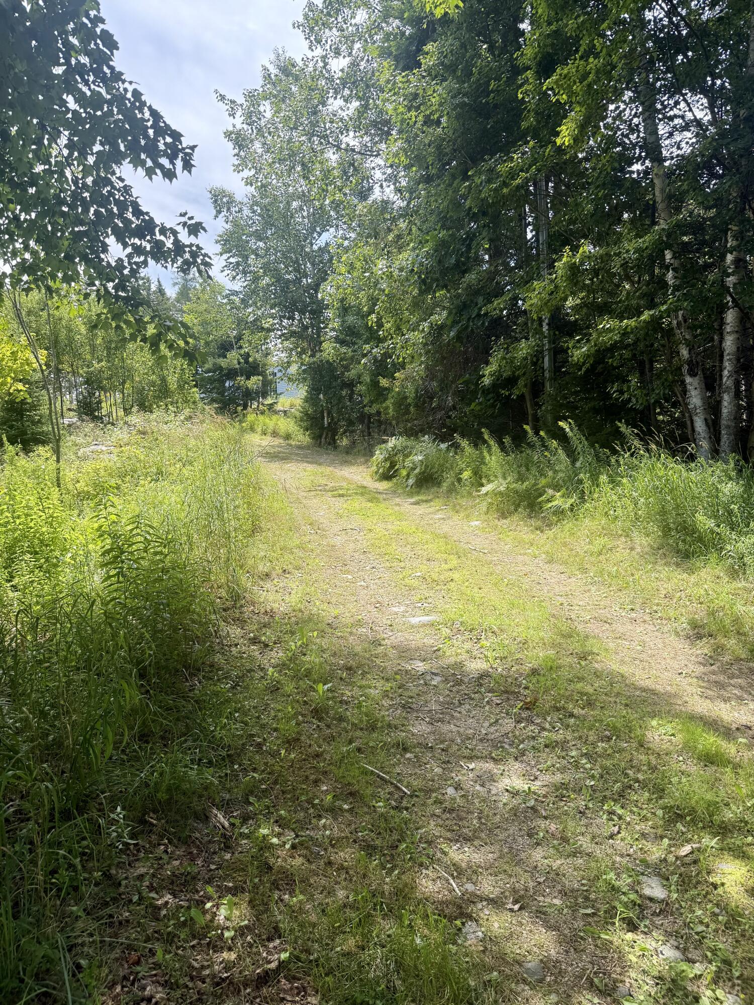40 Tea Hill Road Stonington, ME 04681 - Photo 6 of 10 Tea Hill 7