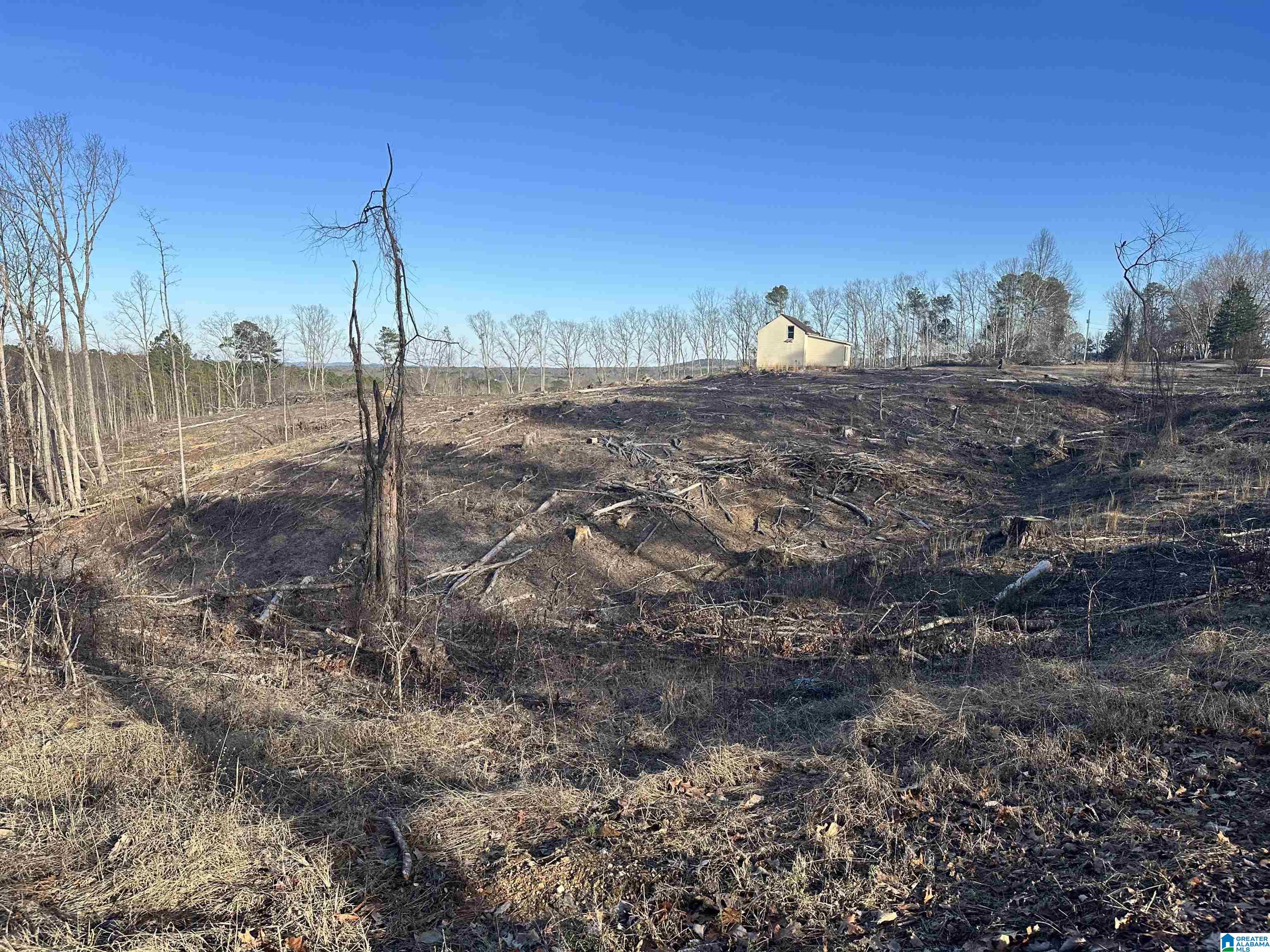 500 Haynes Road Altoona, AL 35952 - Photo 49 of 50