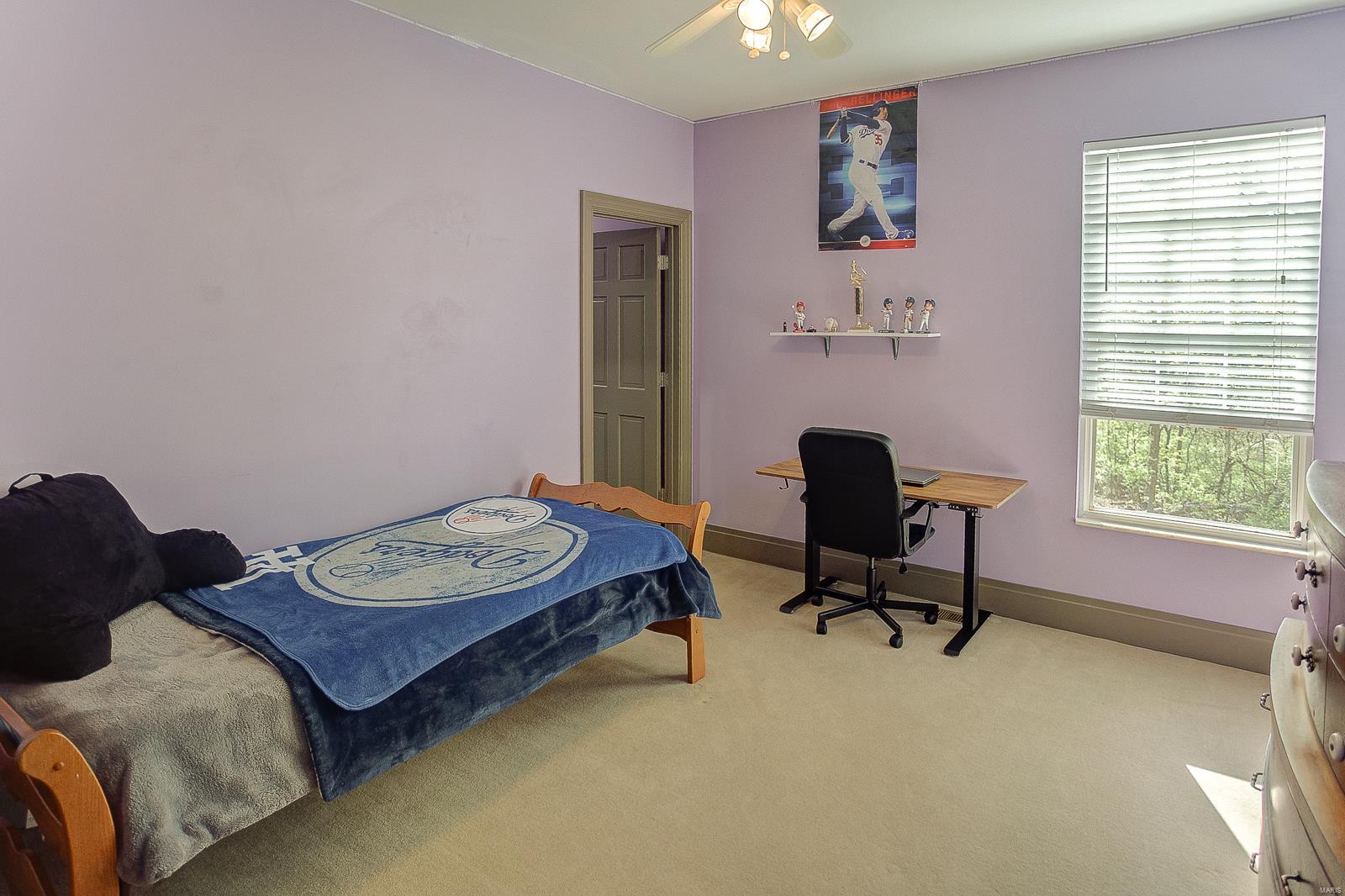 483 Hill Castle Road Columbia, IL 62236 - Photo 47 of 91 Gallery Image 47