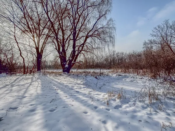 $750,000 | 1351 County Road 83, Maple Plain, MN 55359