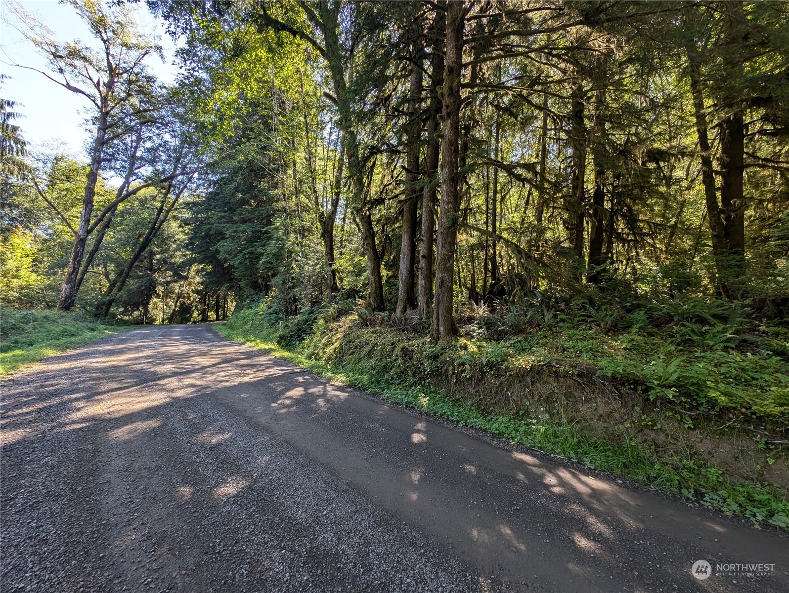99991 Dowan Creek Road Forks, WA 98331 - Photo 10 of 40 a view of a street with a trees