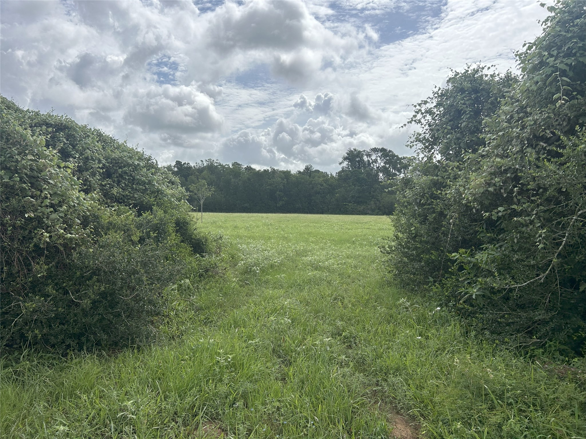 Tbd Holik Road Hempstead, TX 77445 - Photo 27 of 50