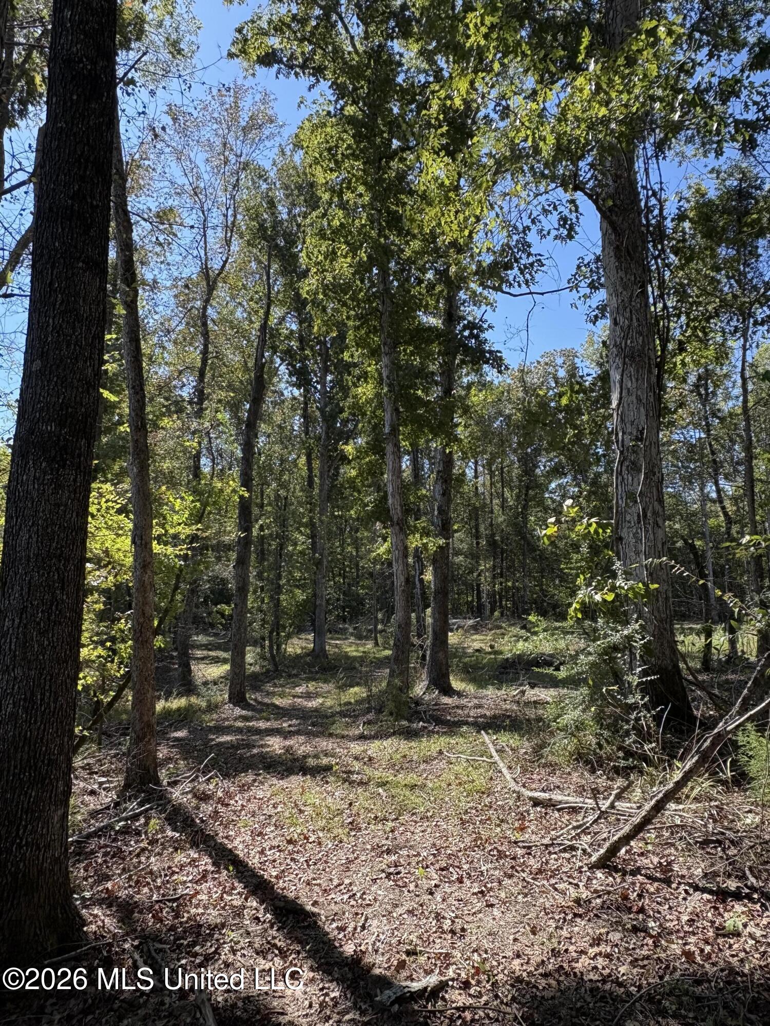 229 Barnes Road Florence, MS 39073 - Photo 17 of 30 IMG_0590
