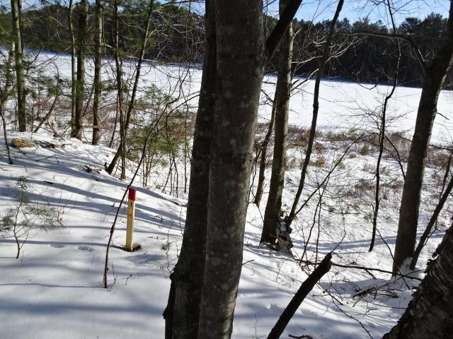 Lot 2 Sandy Court Minocqua, WI 54548 - Photo 3 of 19 Gallery Image 3