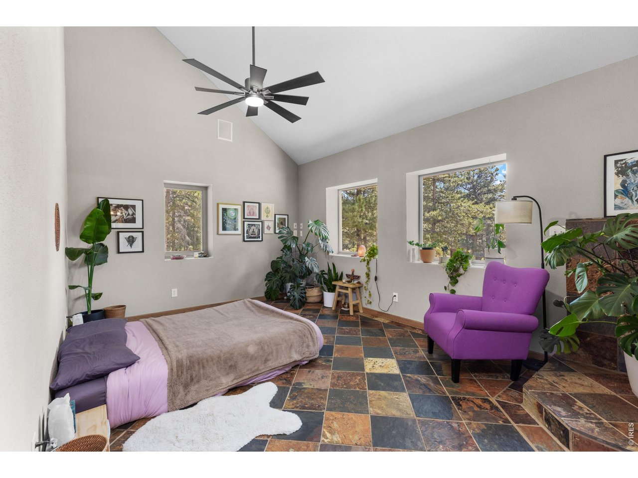187 Lynx Drive Ward, CO 80481 - Photo 17 of 50 a living room with furniture and a potted plant