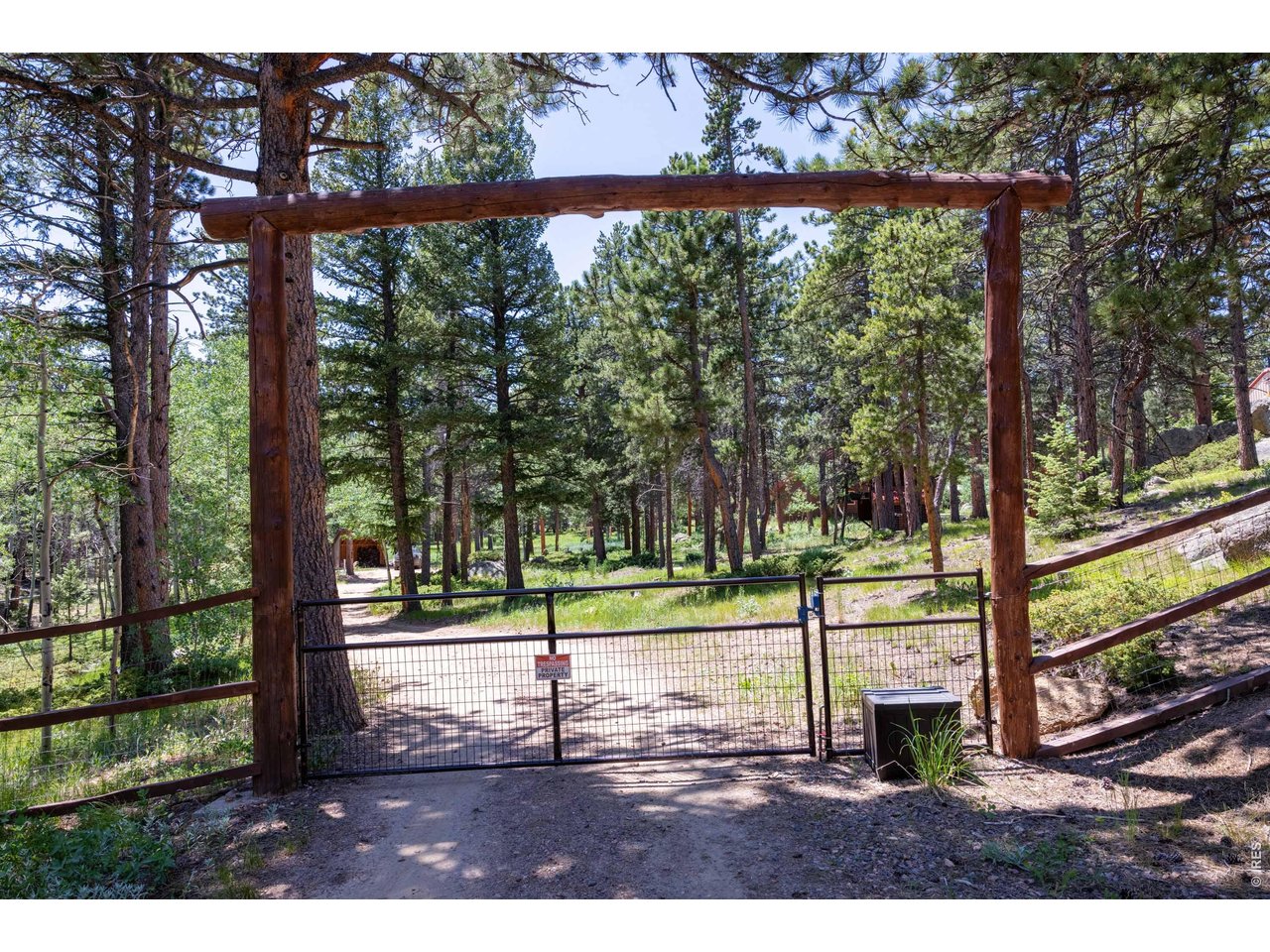 187 Lynx Drive Ward, CO 80481 - Photo 32 of 50 a view of a yard with a tree