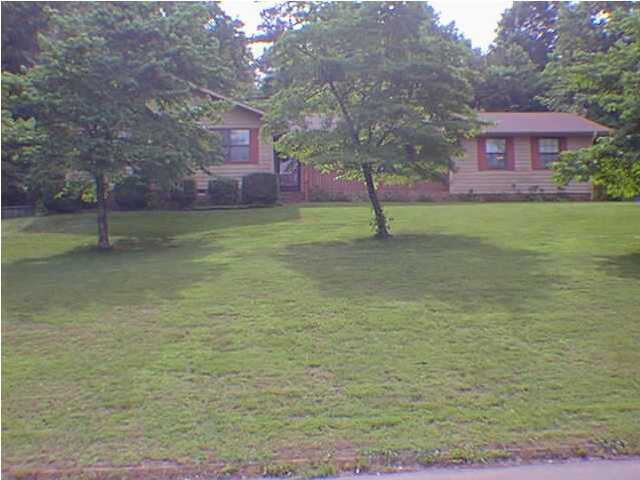 Primary Photo