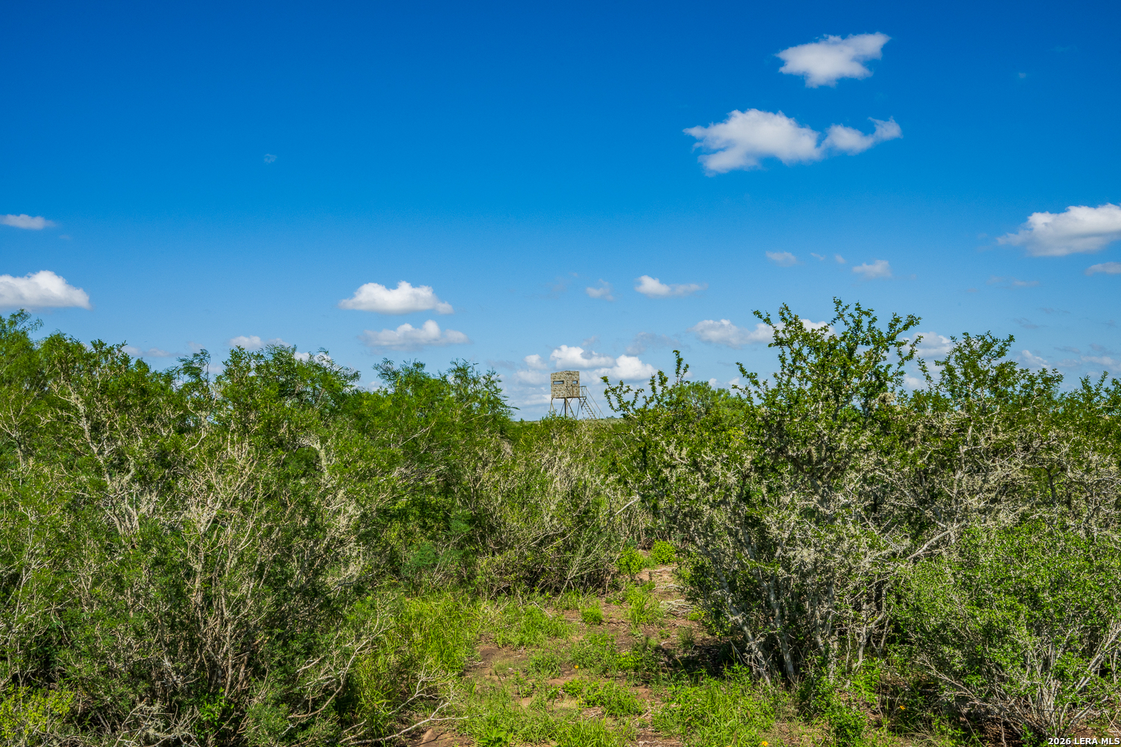 111 Los Lomas Ranch Road Freer, TX 78357 - Photo 14 of 31