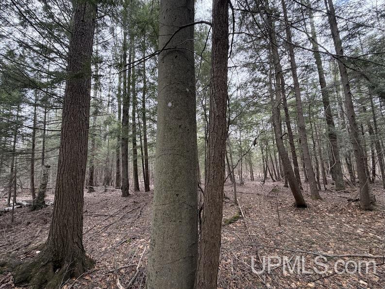 Tbd K Road Bark River, MI 49807 - Photo 8 of 8