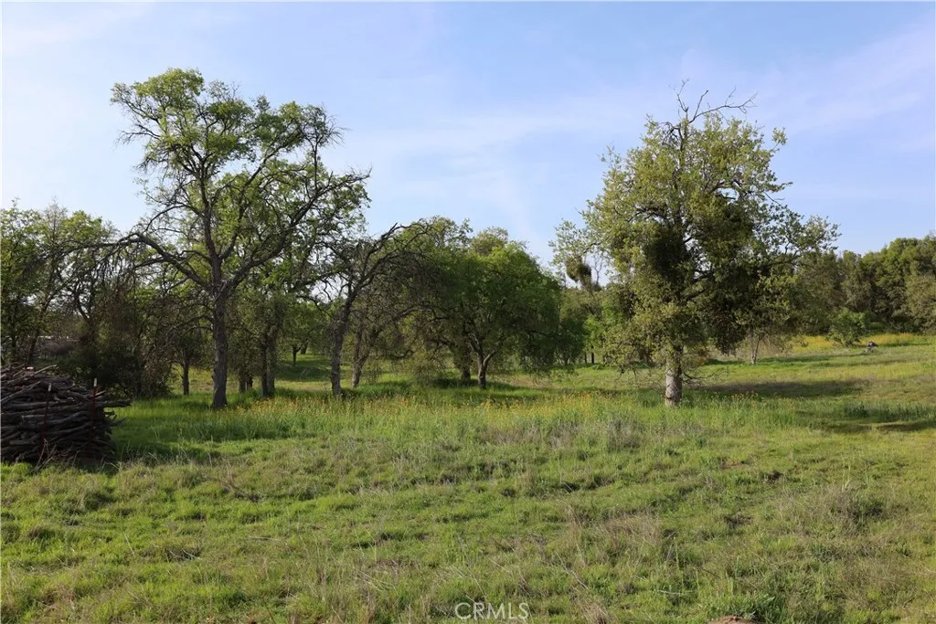 0 Douglas Road Coarsegold, CA 93614 - Photo 24 of 32