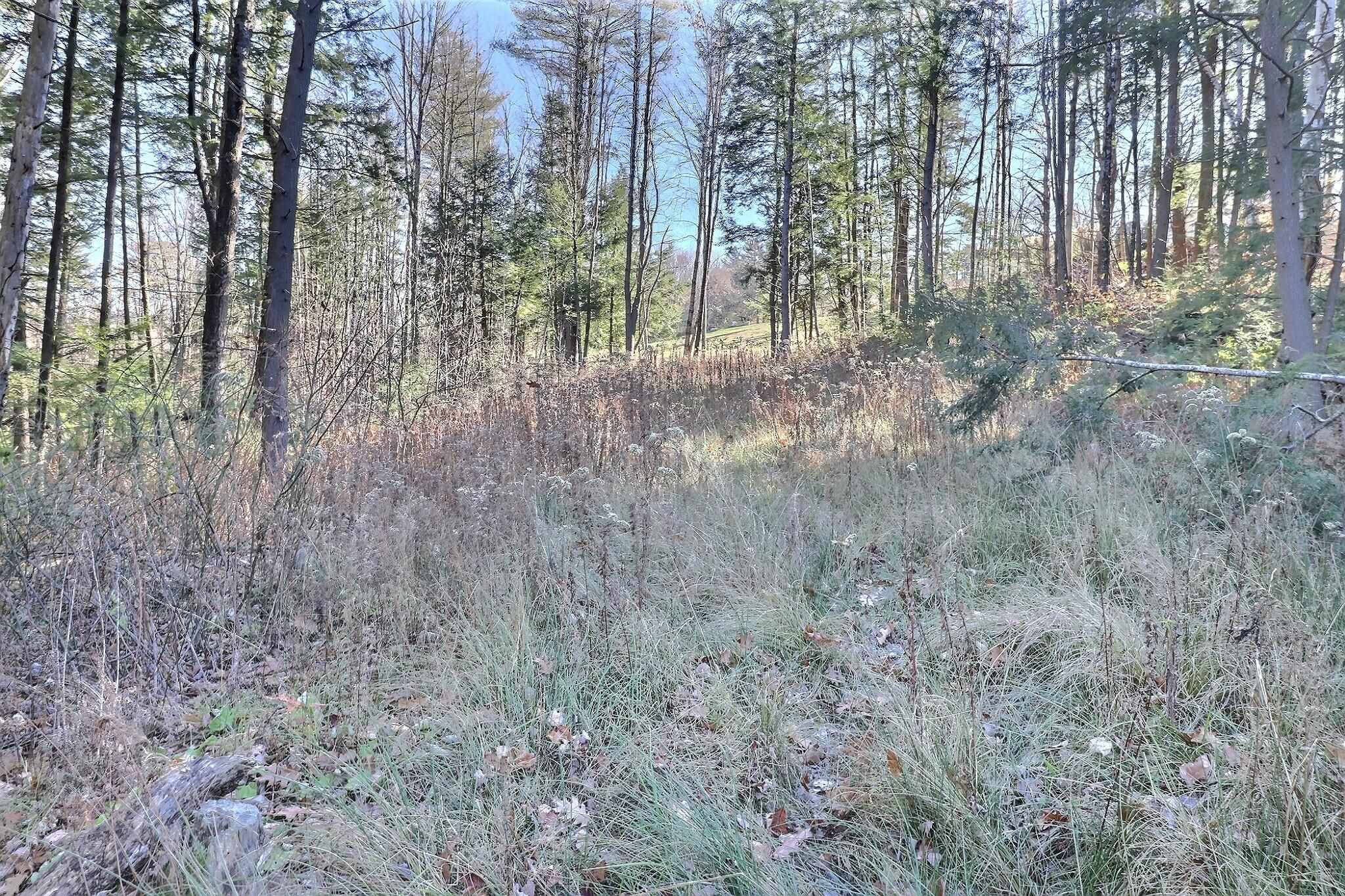 0 Rowell Hill Road New London, NH 03257 - Photo 6 of 8 Gallery Image 6