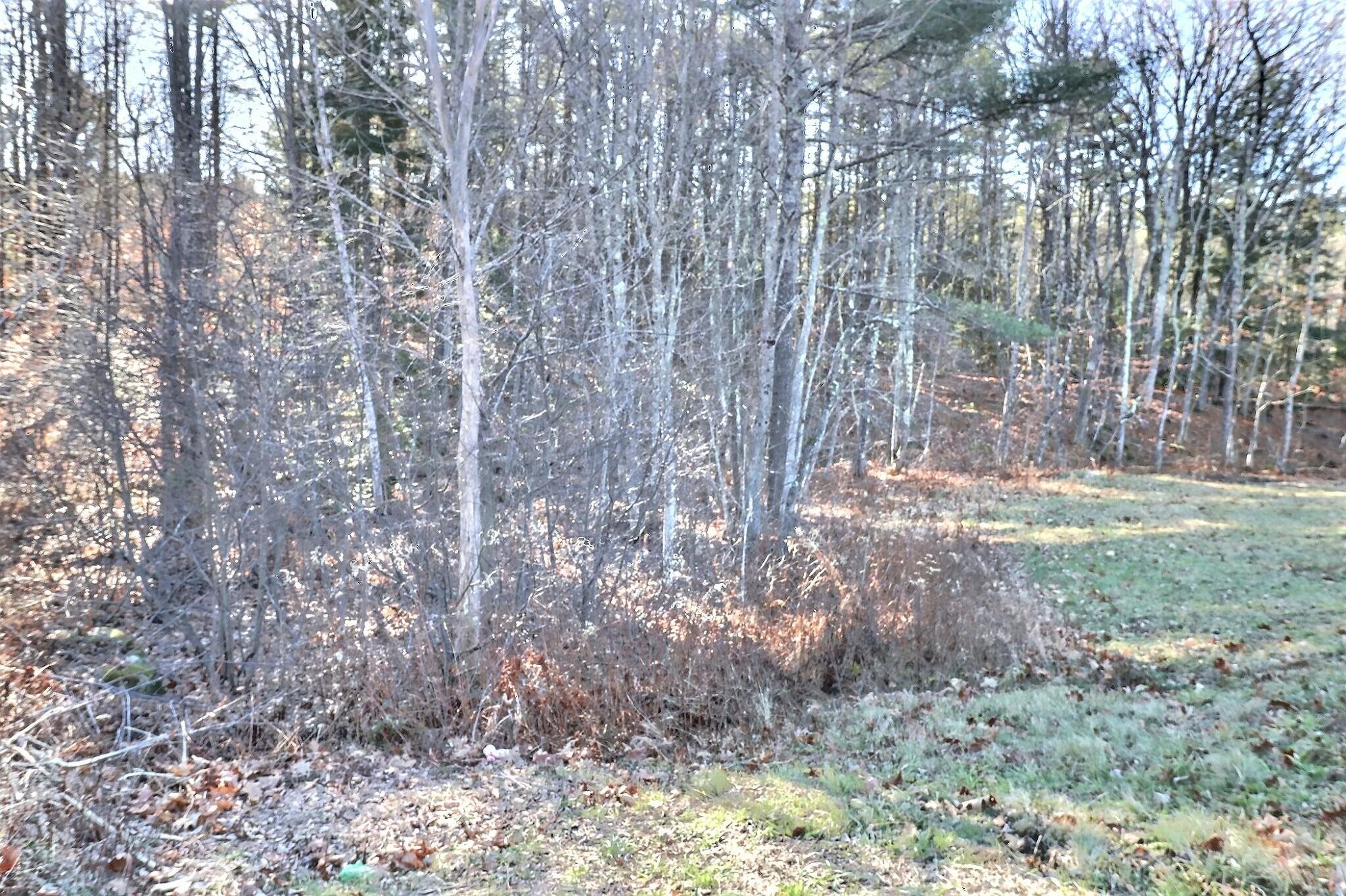 0 Rowell Hill Road New London, NH 03257 - Photo 8 of 8 Gallery Image 8