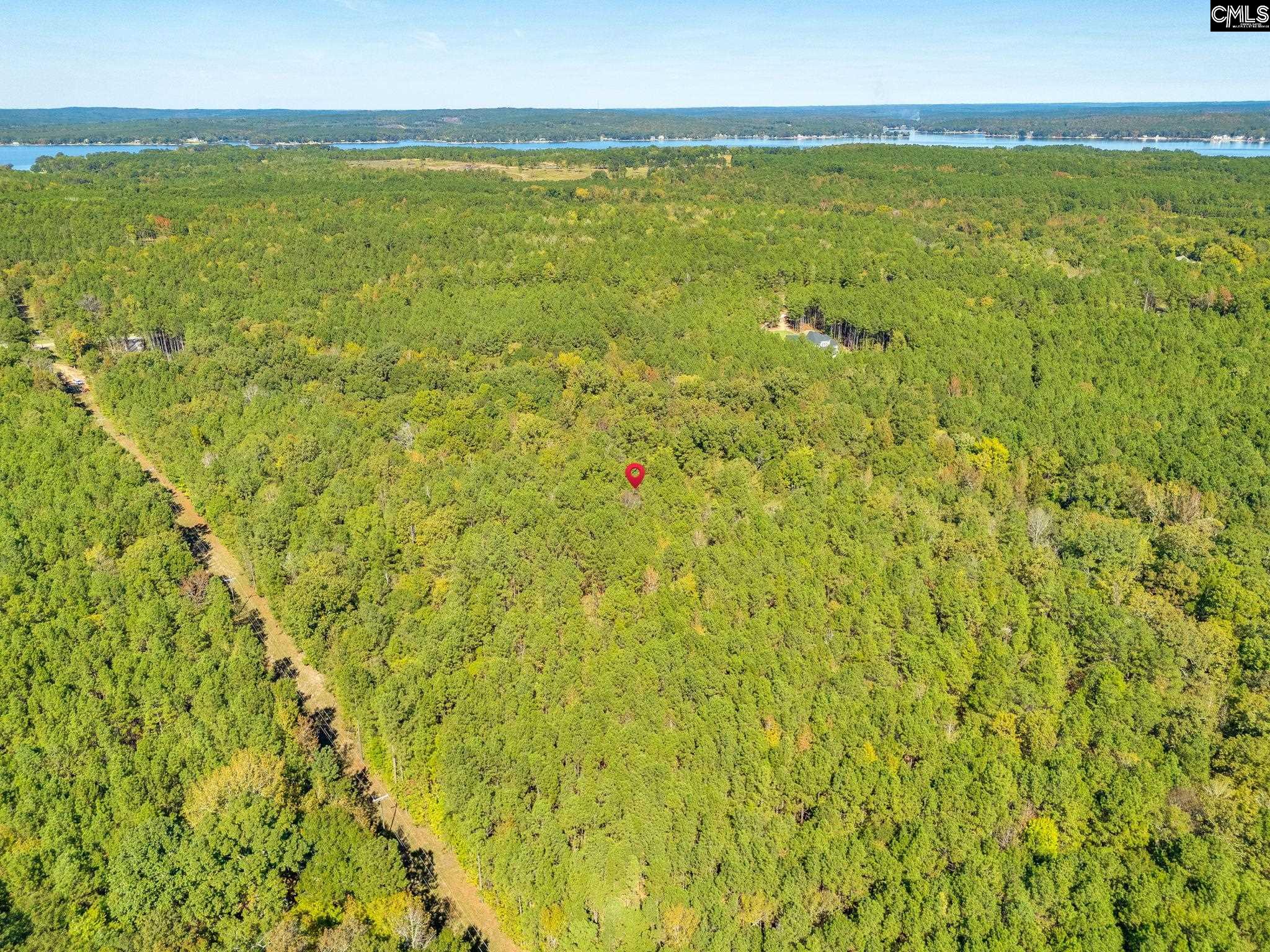 290 Retreat Way Ridgeway, SC 29130 - Photo 4 of 13