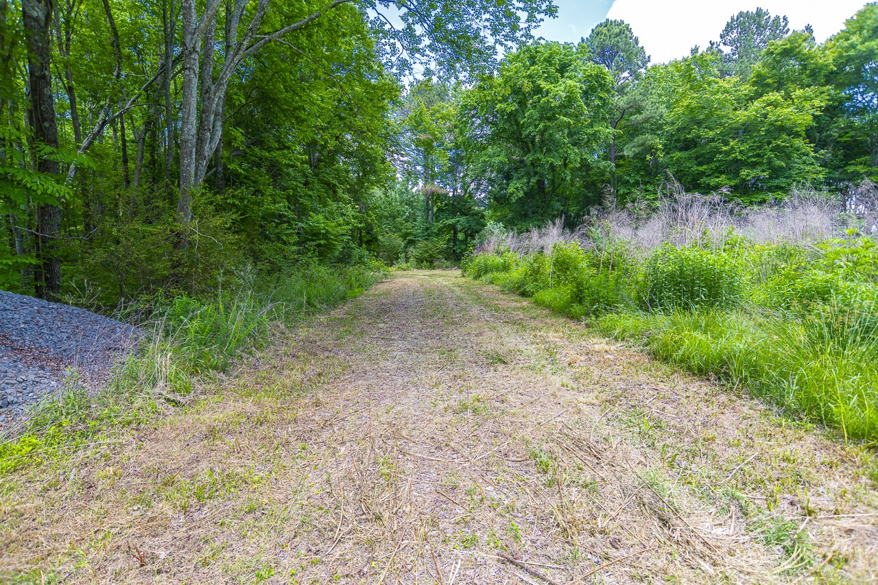23 Grassy Branch Road Flintville, TN 37335 - Photo 5 of 24 a view of a yard with plants and large trees