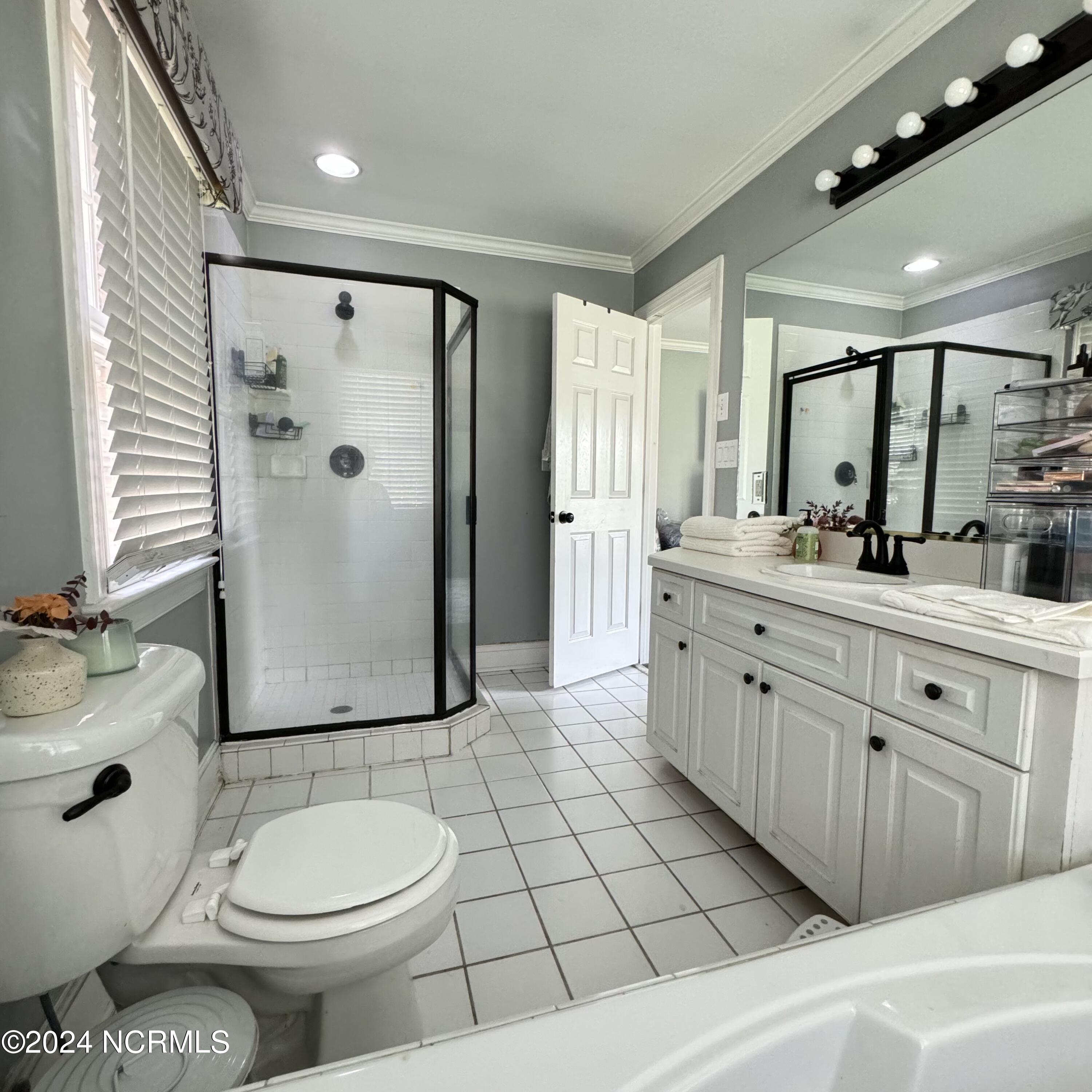 125 Saddle Ridge Road Kinston, NC 28501 - Photo 29 of 36 Owner's Bath