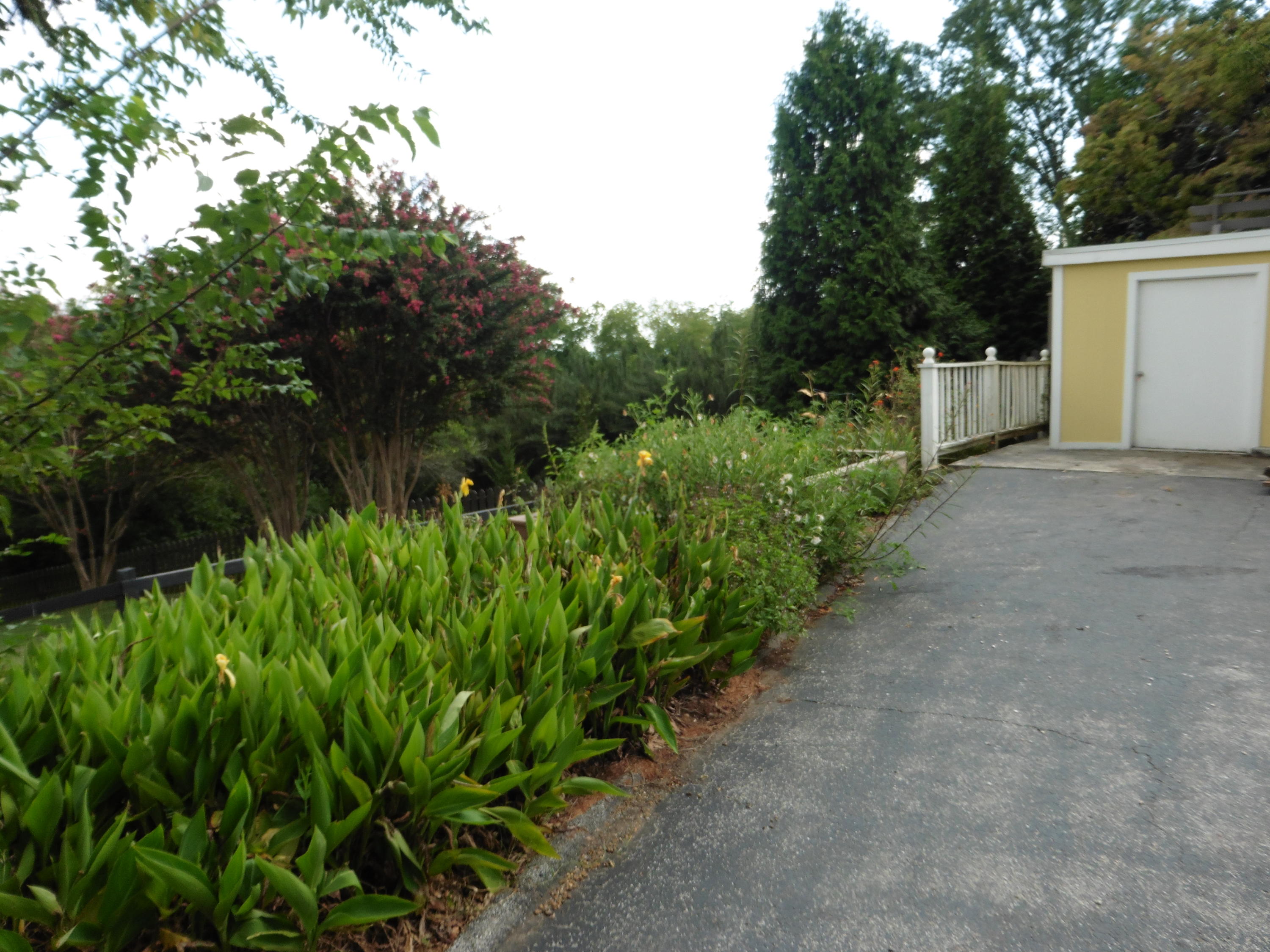 604 South Crest Road Chattanooga, TN 37404 - Photo 47 of 59 P1010993