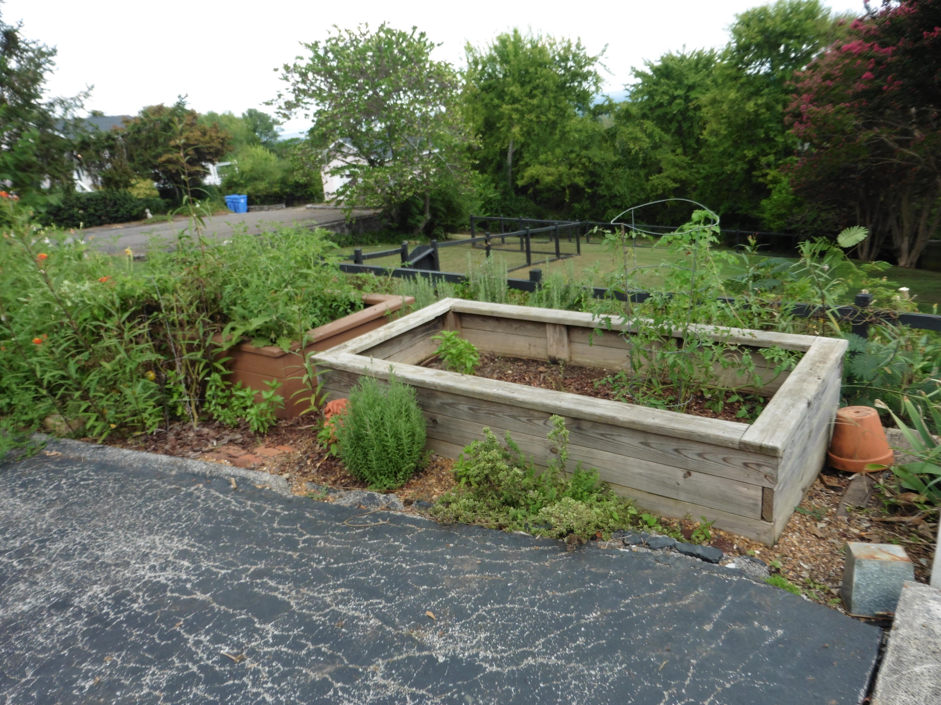 604 South Crest Road Chattanooga, TN 37404 - Photo 50 of 59 P1010994