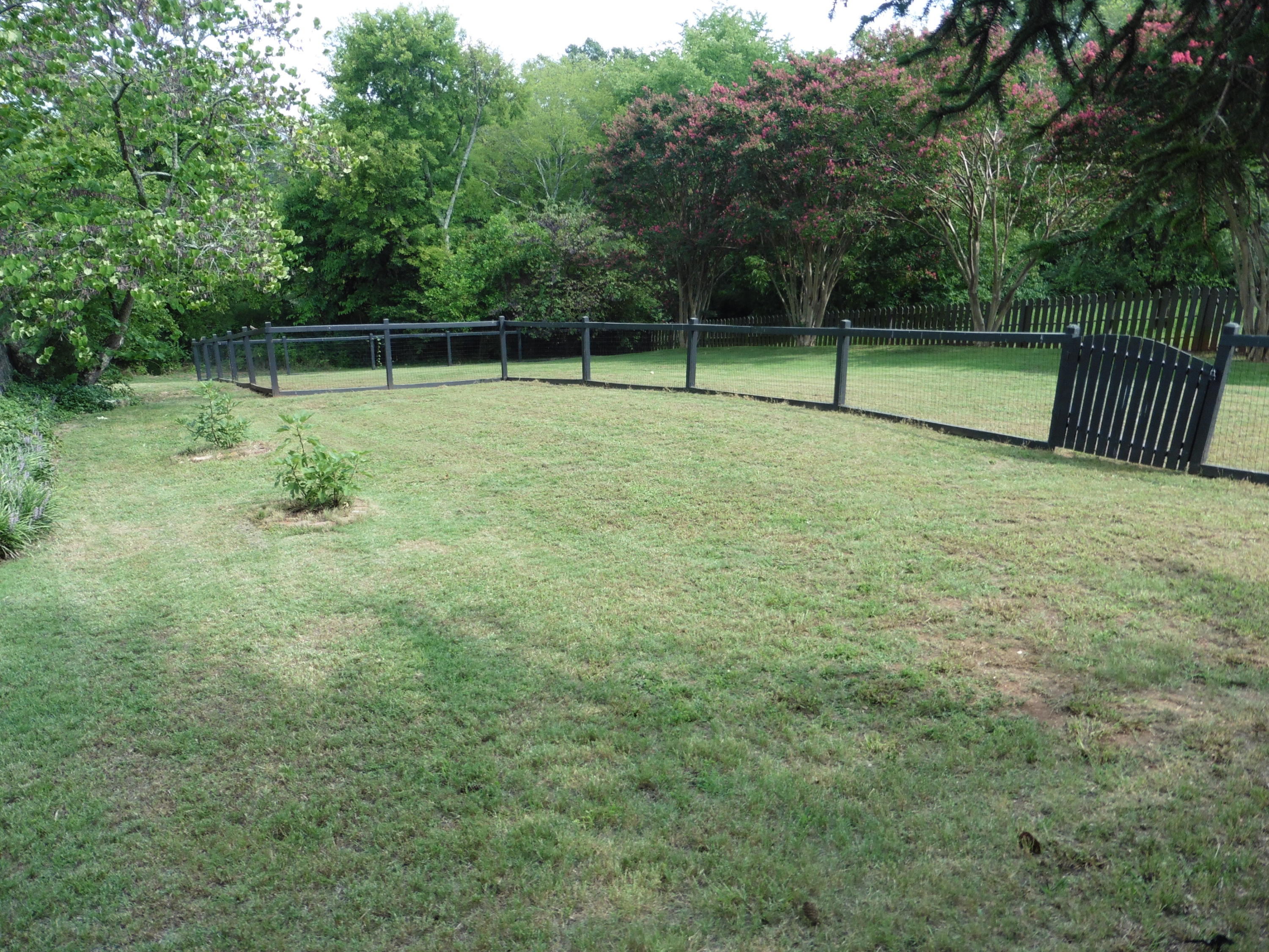 604 South Crest Road Chattanooga, TN 37404 - Photo 53 of 59 P1010995