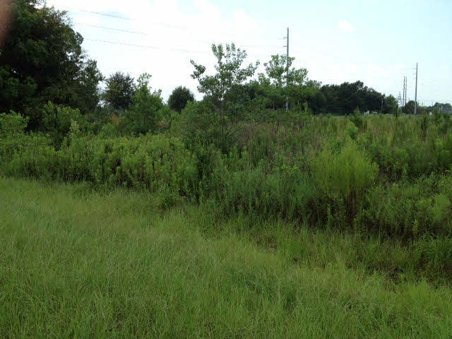 2 West Boulevard Silverhill, AL 36576 - Photo 1 of 1