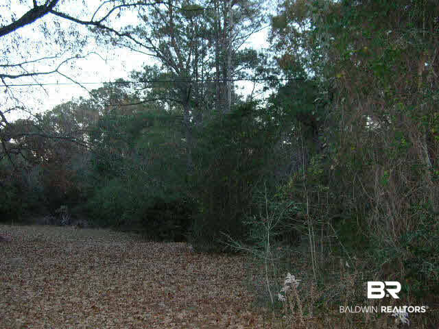 31013 County Road 72 Daphne, AL 36527 - Photo 1 of 1