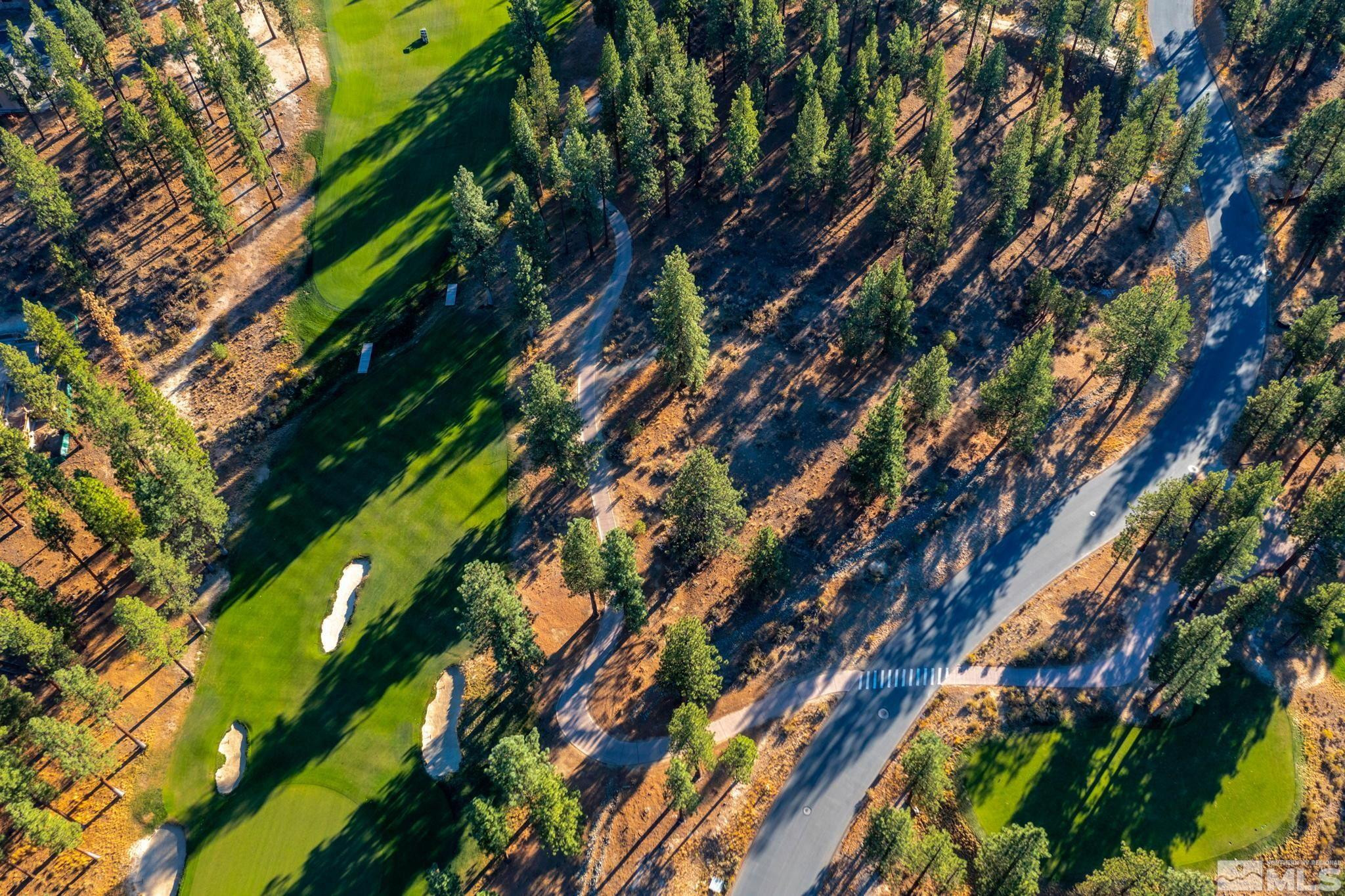 233 Walton Toll Road, Unit 216 Carson City, NV 89705 - Photo 3 of 39 a view of an tree
