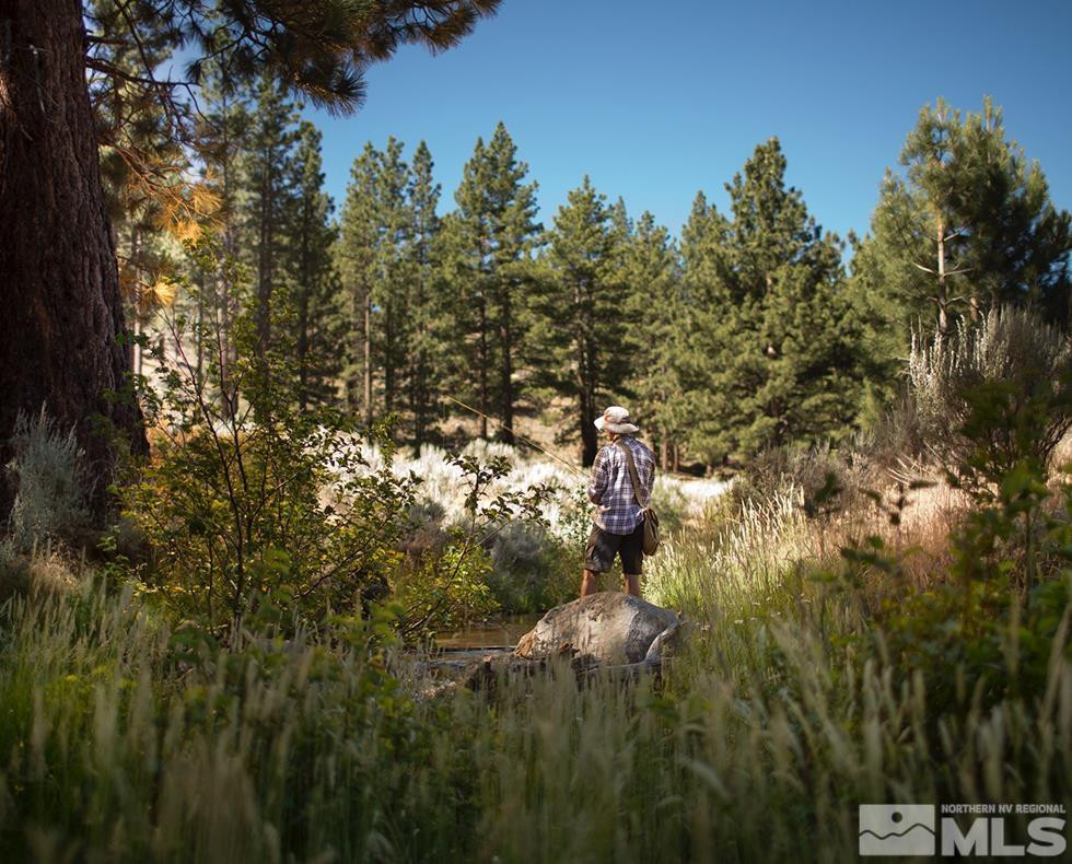 233 Walton Toll Road, Unit 216 Carson City, NV 89705 - Photo 35 of 39 a view of a tree