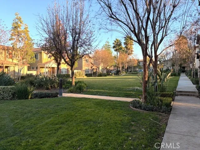 a view of a park with large trees