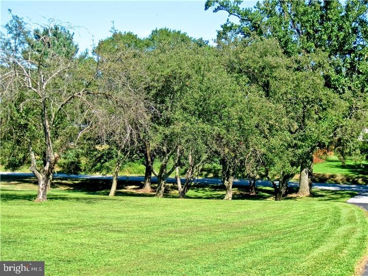 972 Chesterville Road Oxford, PA 19363 - Photo 2 of 14 Gallery Image 2