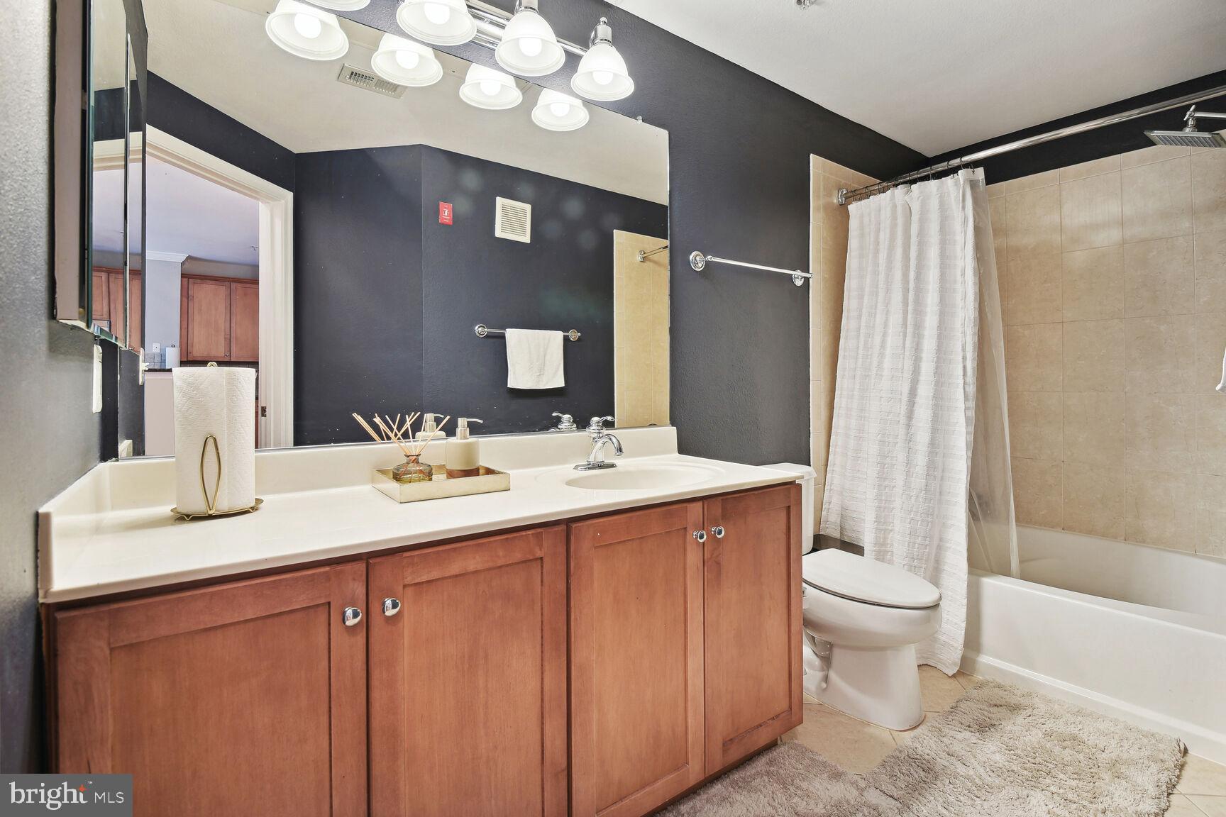 11800 Old Georgetown Road, Unit 1640 Rockville, MD 20852 - Photo 11 of 20 Full Bathroom