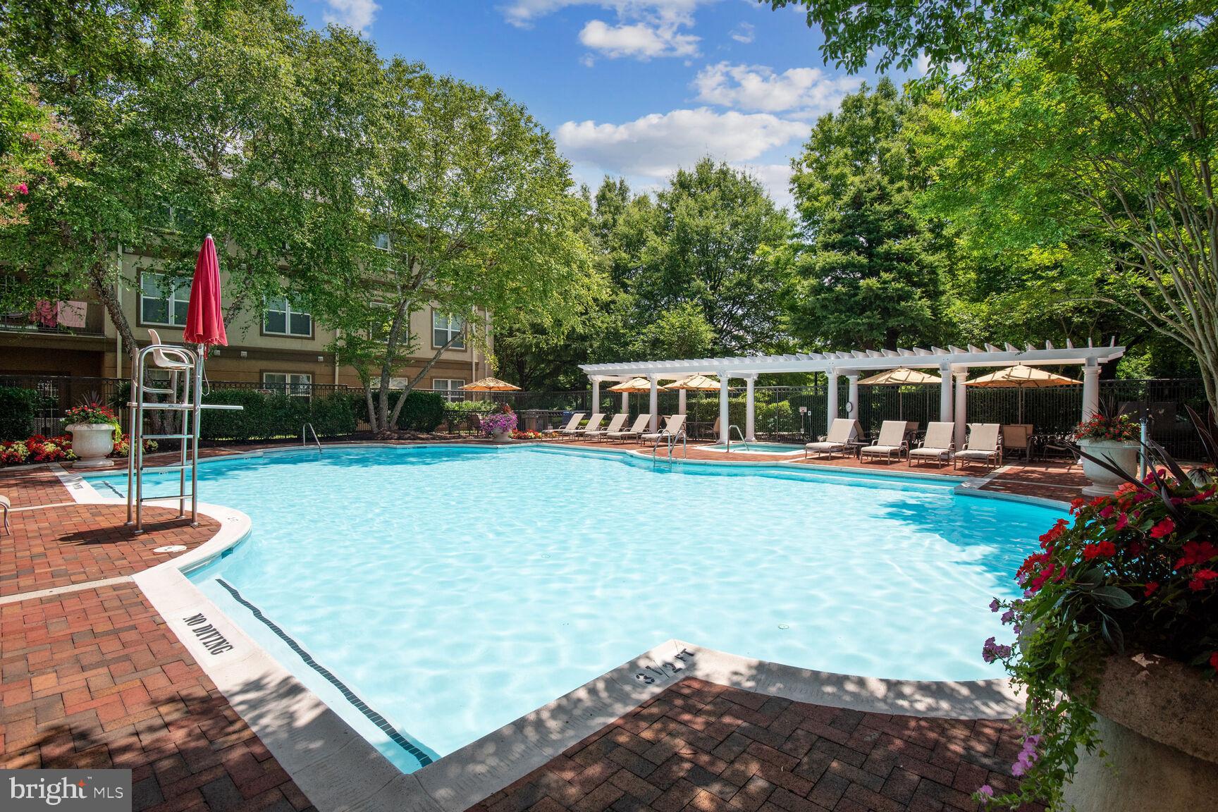 11800 Old Georgetown Road, Unit 1640 Rockville, MD 20852 - Photo 20 of 20 Community Pool