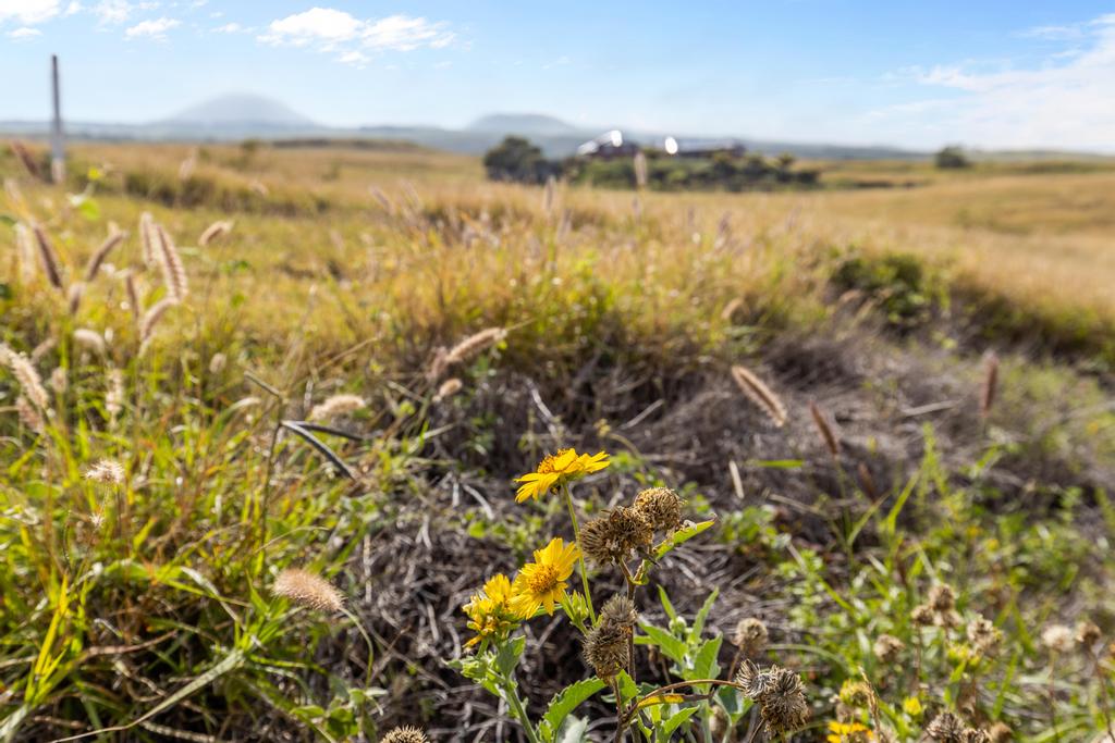 469 Lot Kamuela, HI 96743 - Photo 14 of 14