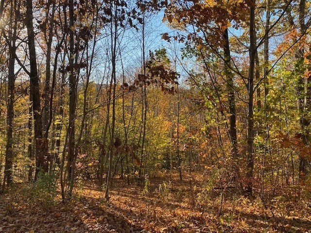 539 Fox Hill Road Bernardston, MA 01337 - Photo 1 of 4