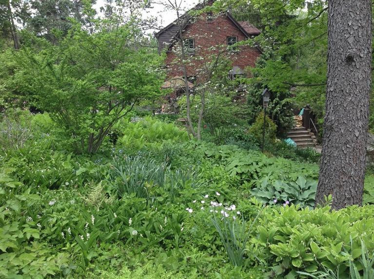 11 Ridgeway Street Ann Arbor, MI 48104 - Photo 43 of 61 Photo 43