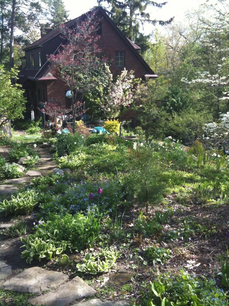 11 Ridgeway Street Ann Arbor, MI 48104 - Photo 47 of 61 Photo 47
