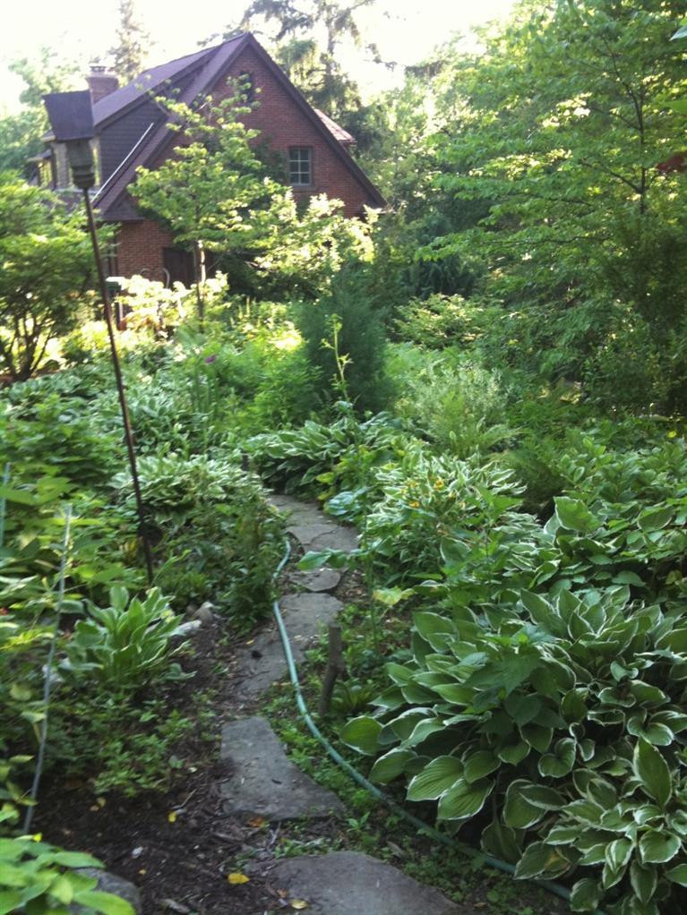 11 Ridgeway Street Ann Arbor, MI 48104 - Photo 49 of 61 Photo 49