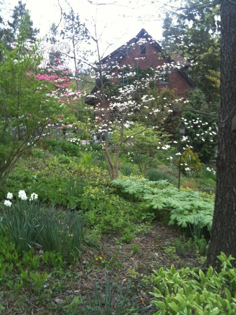 11 Ridgeway Street Ann Arbor, MI 48104 - Photo 50 of 61 Photo 50