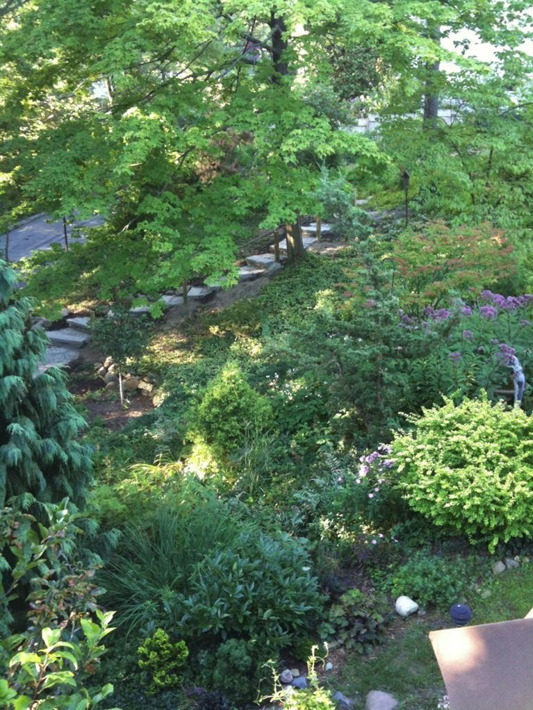 11 Ridgeway Street Ann Arbor, MI 48104 - Photo 54 of 61 Photo 54