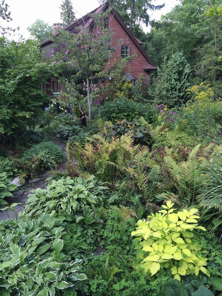 11 Ridgeway Street Ann Arbor, MI 48104 - Photo 58 of 61 Photo 58