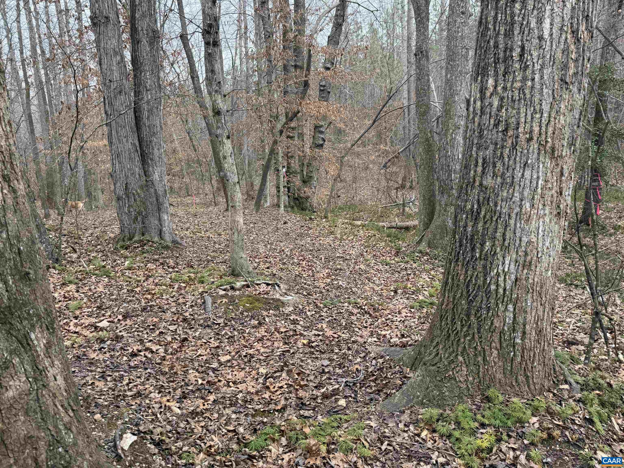 C2 Hardware Road, Unit C2 Arvonia, VA 23004 - Photo 9 of 13