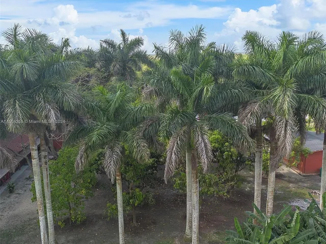 a view of a patio with table and chairs and a large tree