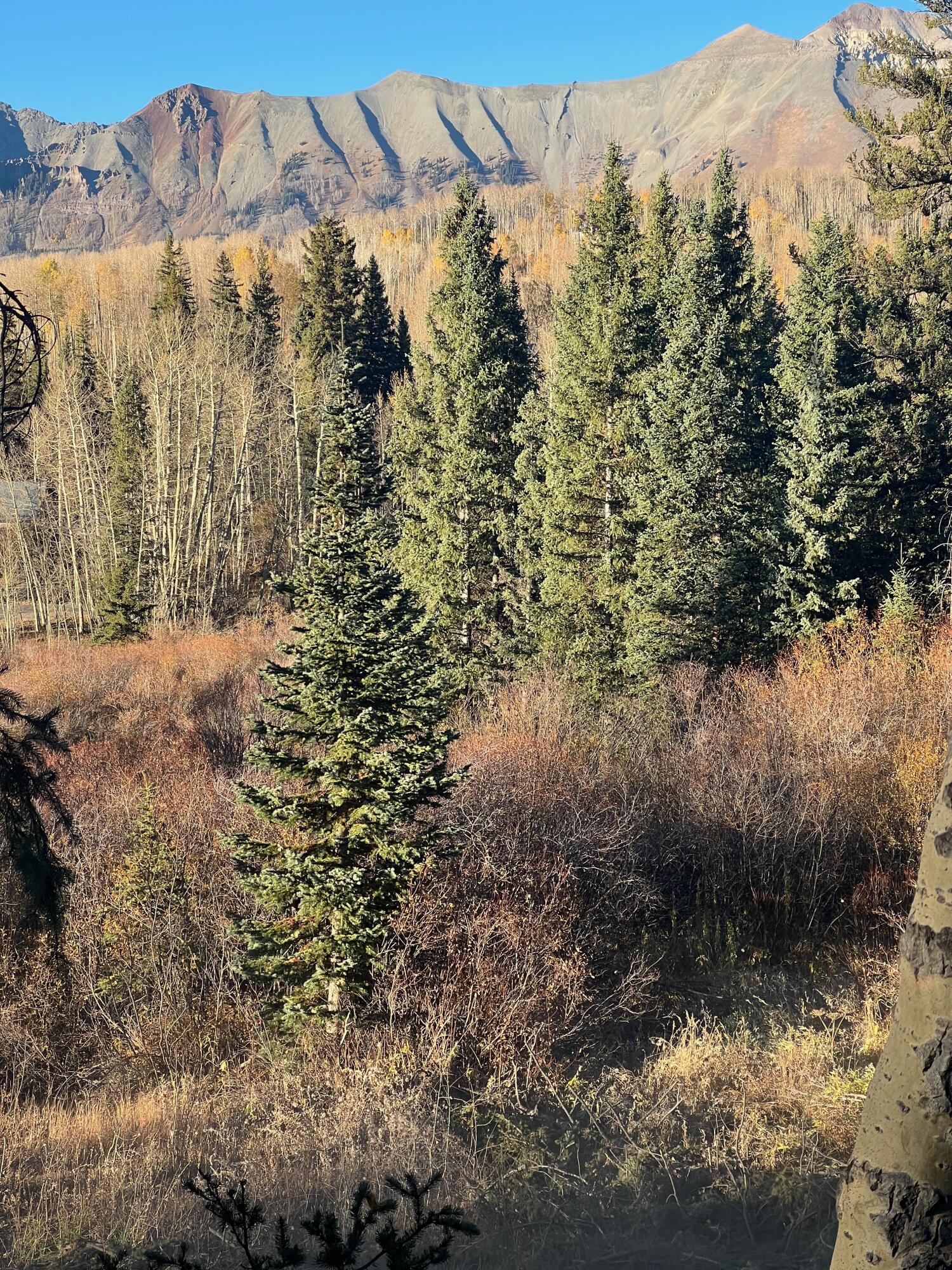 530 Elk Run Telluride, CO 81435 - Photo 2 of 11 a view of a lake with mountains in the background