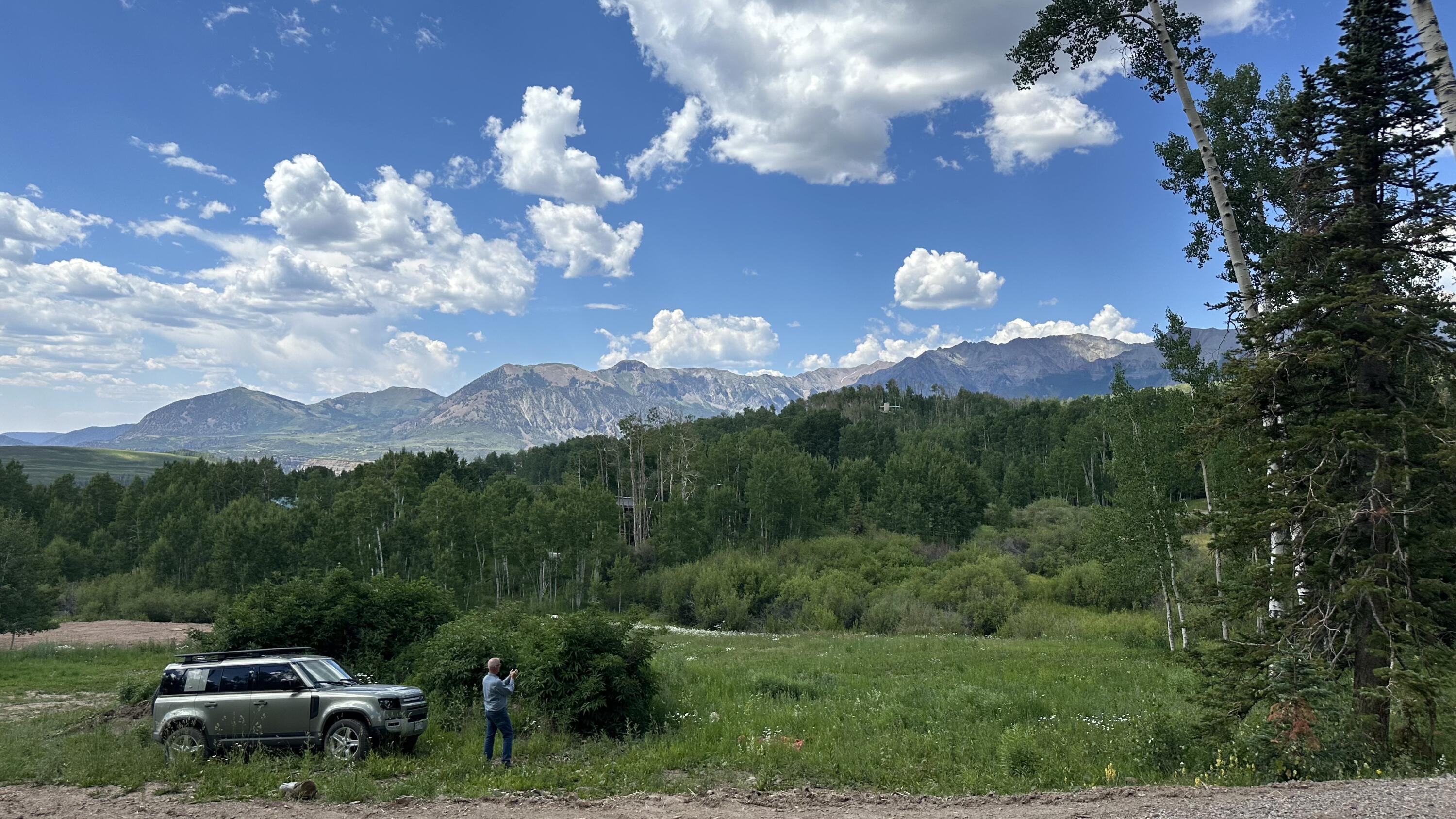 530 Elk Run Telluride, CO 81435 - Photo 5 of 11 a view of a yard with a tree