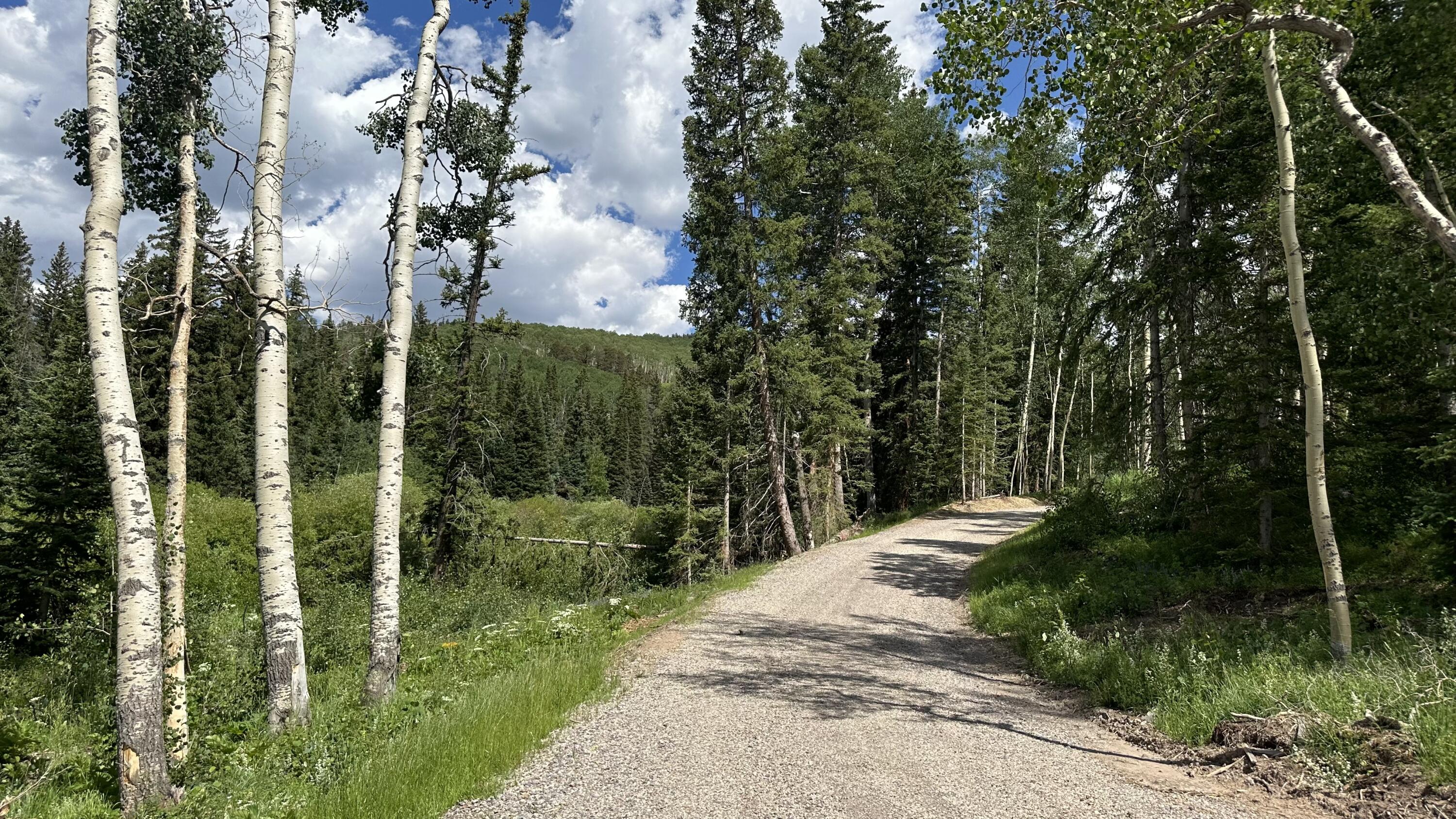 530 Elk Run Telluride, CO 81435 - Photo 6 of 11 a view of a pathway of a building